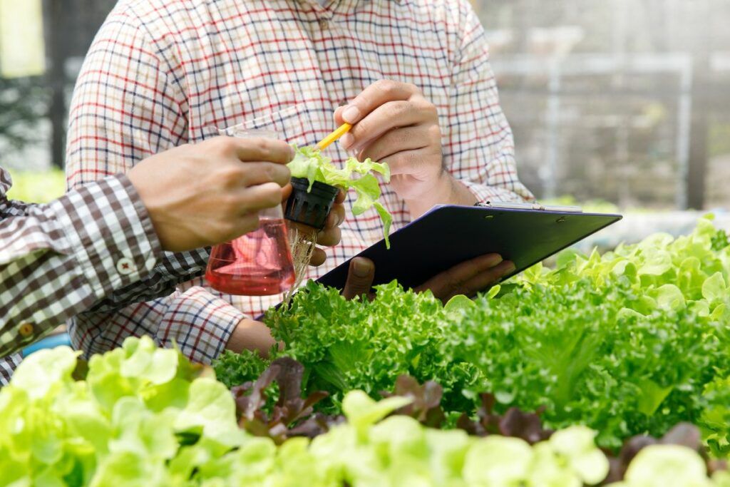 Las mejores prácticas de cultivo hortofrutícola - Monitoreo y Registro de Datos